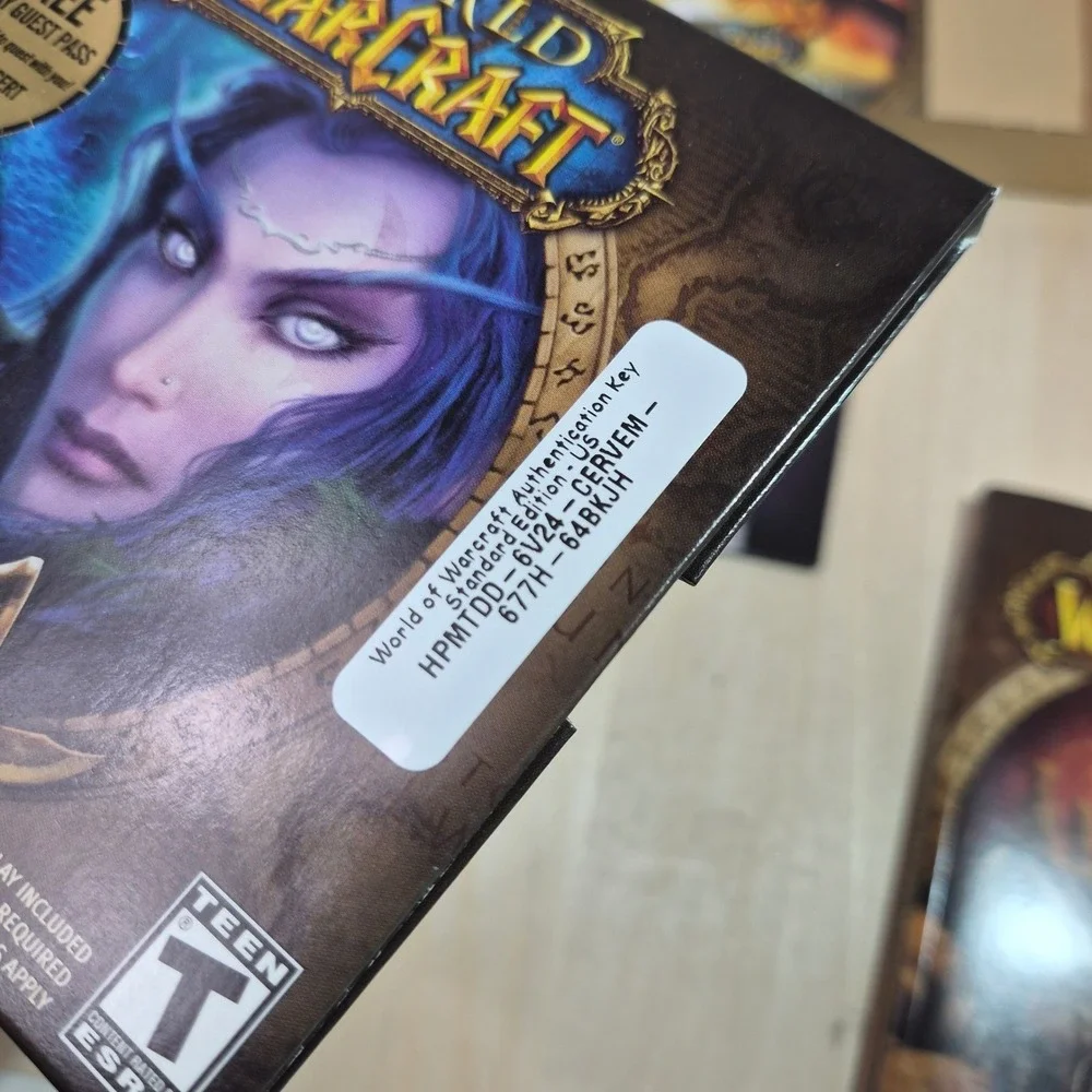 Blizzard immerse yourself